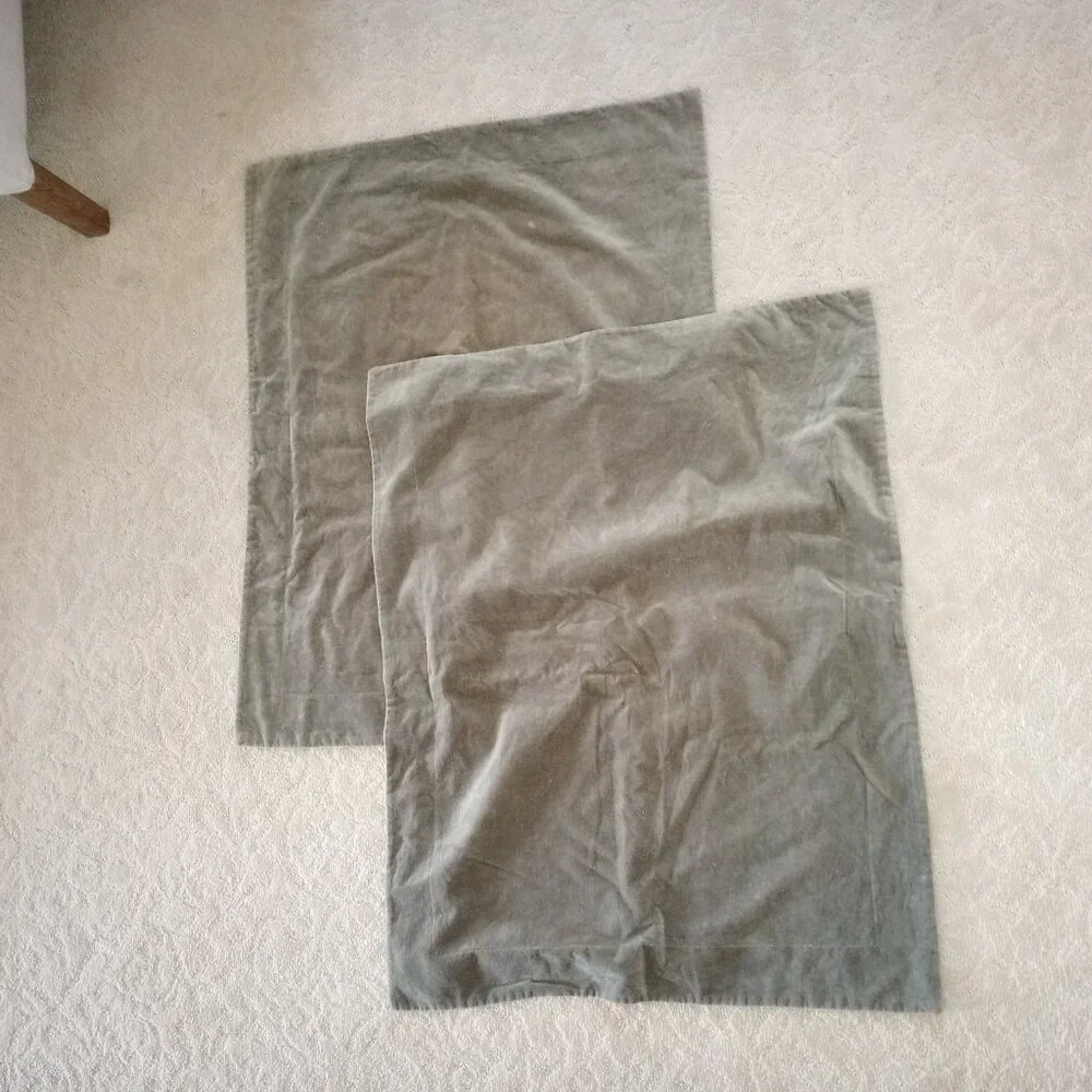 Pottery Barn Green Velour Velvet Button Closure Shams